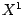 $X^{1}$