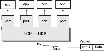 Routing the packet to the appropriate application.