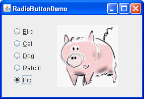 A snapshot of RadioButtonDemo