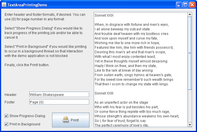 A screenshot of TextAreaPrintingDemo