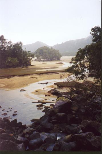Awaroa estuary during low tide